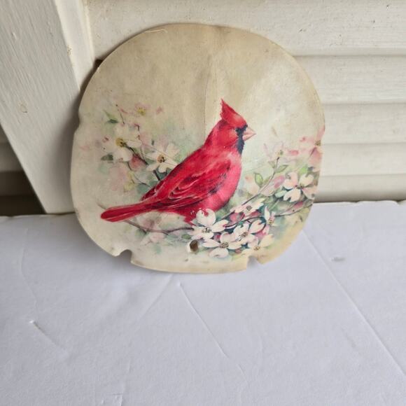 Vintage Hand Painted Sand Dollar Red Cardinal On Dogwood Blossoms 4 X 5 inches - Picture 4 of 8